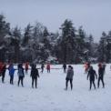 2008-11-21-24_trainingsweekend_hoenderloo_0022.jpg