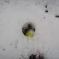 2008-11-21-24_trainingsweekend_hoenderloo_0042.jpg