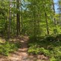 IMG-20220514-WA0023.jpg