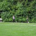 DSC_9514.jpg