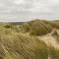Noordwijk6.jpg