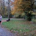 2010-11-07_kombij-herfsttrimloop_0054.jpg