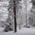 2008-11-21-24_trainingsweekend_hoenderloo_0043.jpg