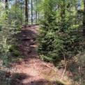 IMG-20220514-WA0020.jpg