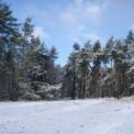 2008-11-21-24_trainingsweekend_hoenderloo_0004.jpg