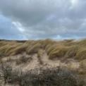 duinen.jpg