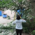 DSCN3786.jpg