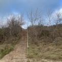 duinen3.jpg