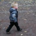 2009-11-01_herfsttrimloop_0040.jpg