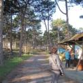 2009-12-12_ameland_adventure_run_0007.jpg