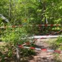 IMG-20220514-WA0024.jpg